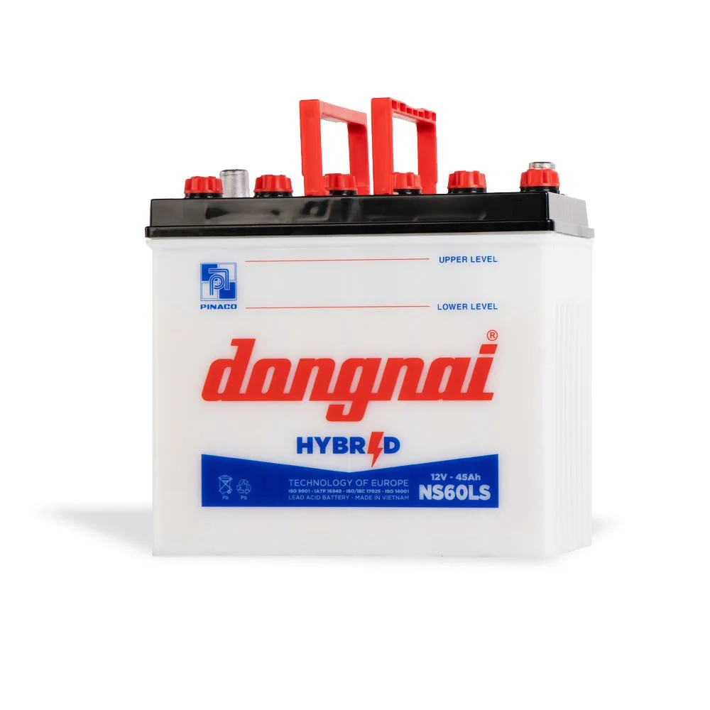 Ắc quy Hybrid NS60LS - 12V - 45Ah 2