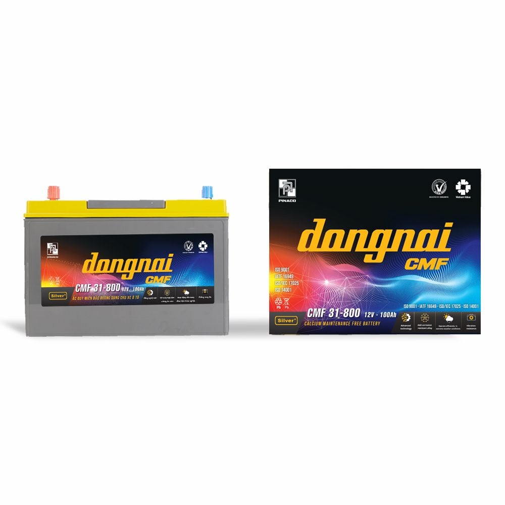 Ắc quy khô miễn bảo dưỡng Đồng Nai CMF 31800 - 12V - 100Ah 5