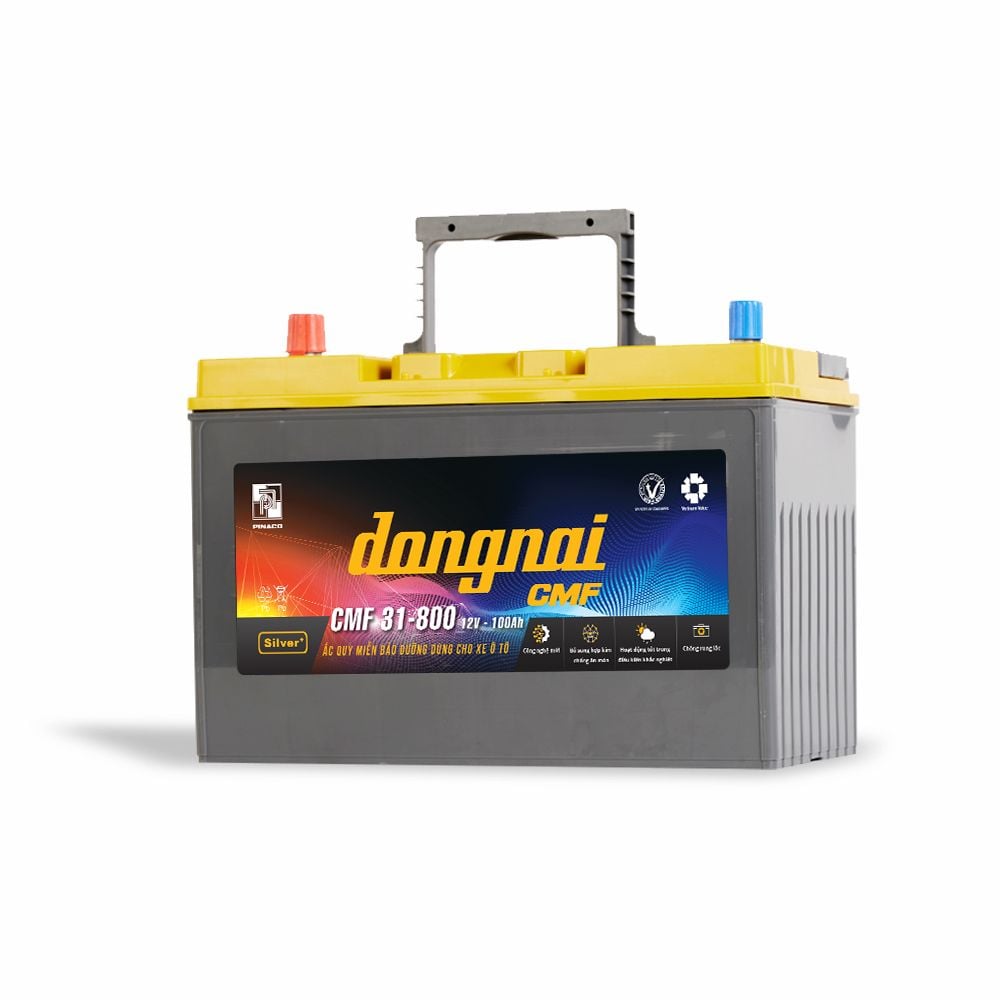 Ắc quy khô miễn bảo dưỡng Đồng Nai CMF 31800 - 12V - 100Ah 4
