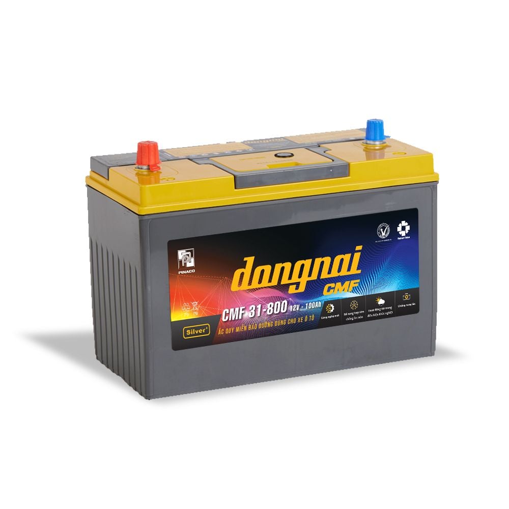 Ắc quy khô miễn bảo dưỡng Đồng Nai CMF 31800 - 12V - 100Ah 3