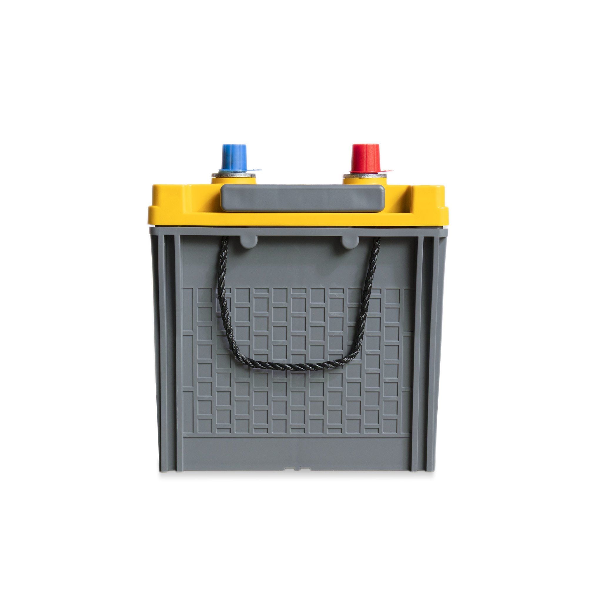 Ắc quy khô miễn bảo dưỡng Đồng Nai CMF 195G51L - 12V - 165Ah 4